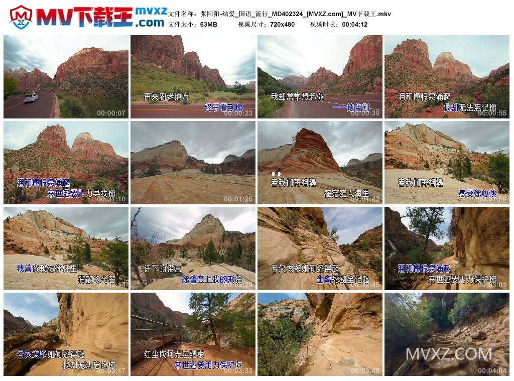 张阳阳-结爱_国语_流行_MD402324